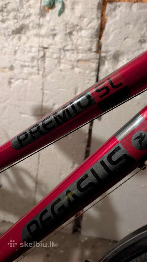 Pegasus Premio SL - nuotraukos Nr. 7
