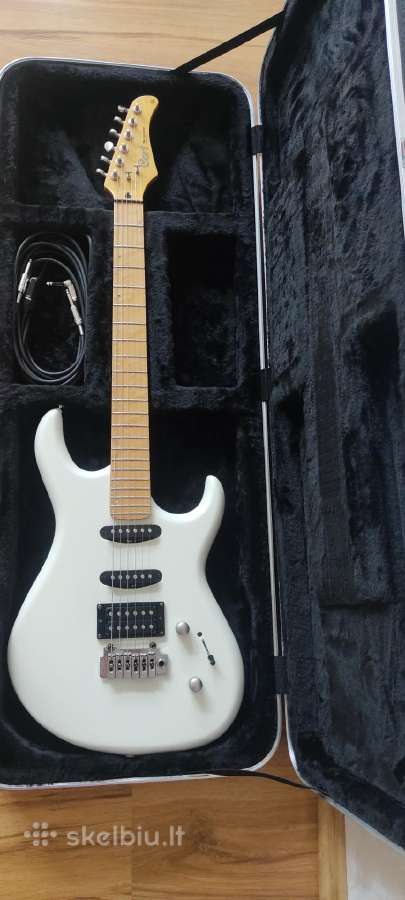 Gitara Cort G254