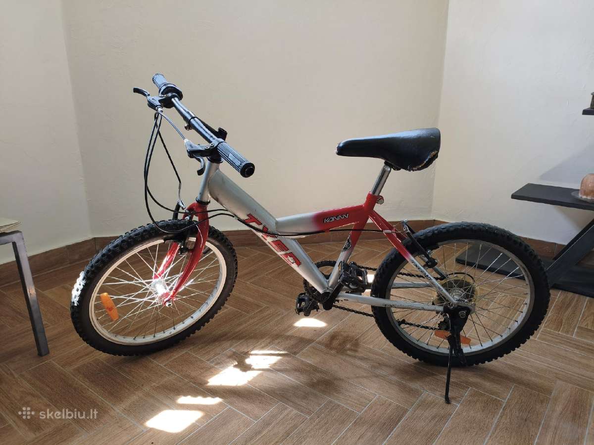 Vaikiškas dviratis 20'