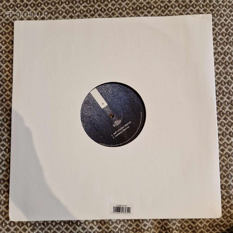 Sandwell District - End Beginnings Demos / Vinyl 1 - nuotraukos Nr. 2