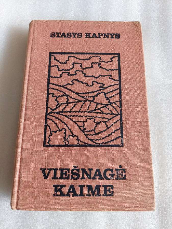 Viešnagė kaime