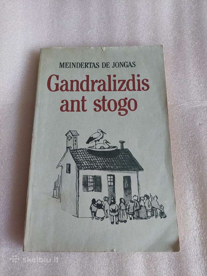 Gandralizdis ant stogo