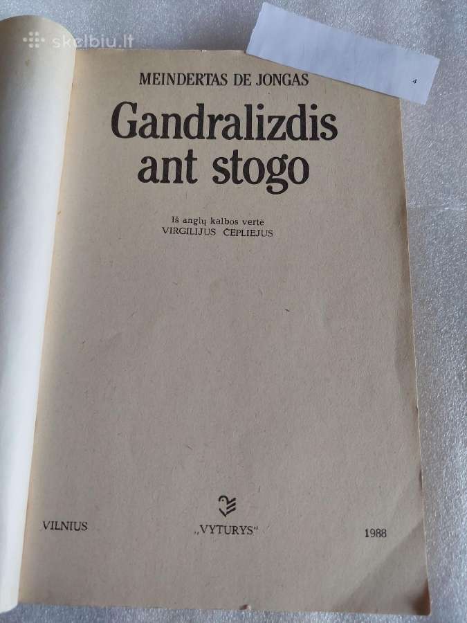 Gandralizdis ant stogo - nuotraukos Nr. 2