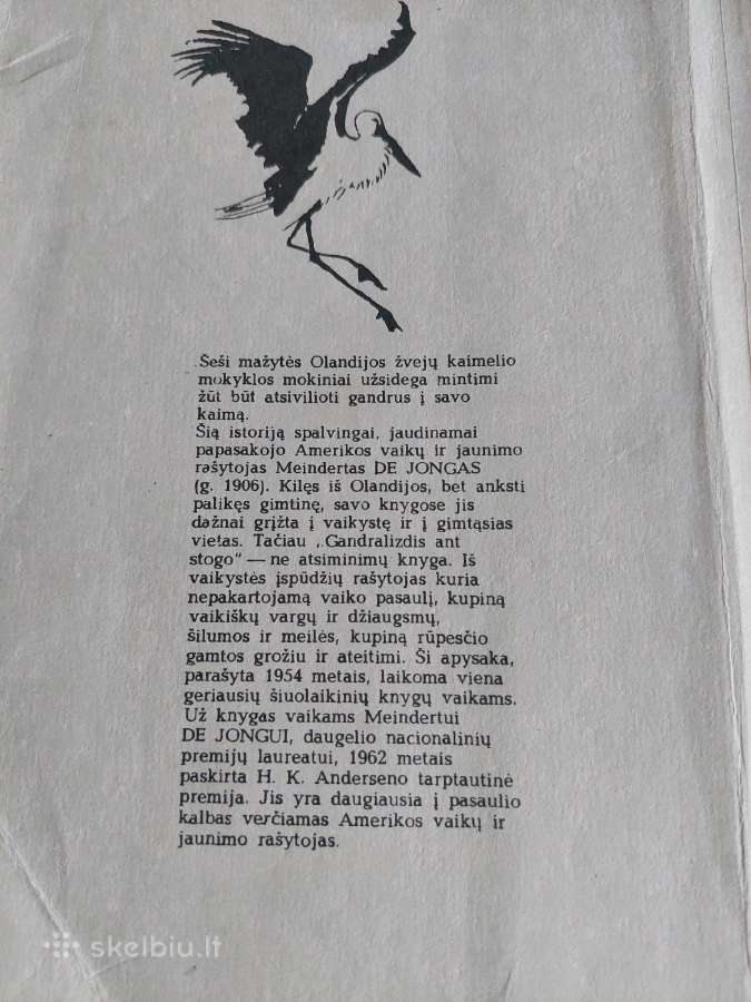 Gandralizdis ant stogo - nuotraukos Nr. 3