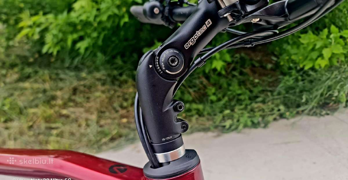 Premium klas. elek. dviratis Velo de Ville Aeb 990 - nuotraukos Nr. 12