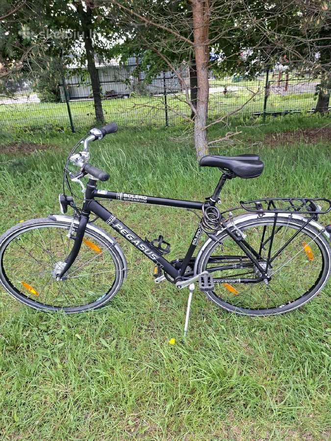 Pegasus Solero Super Light 53cm