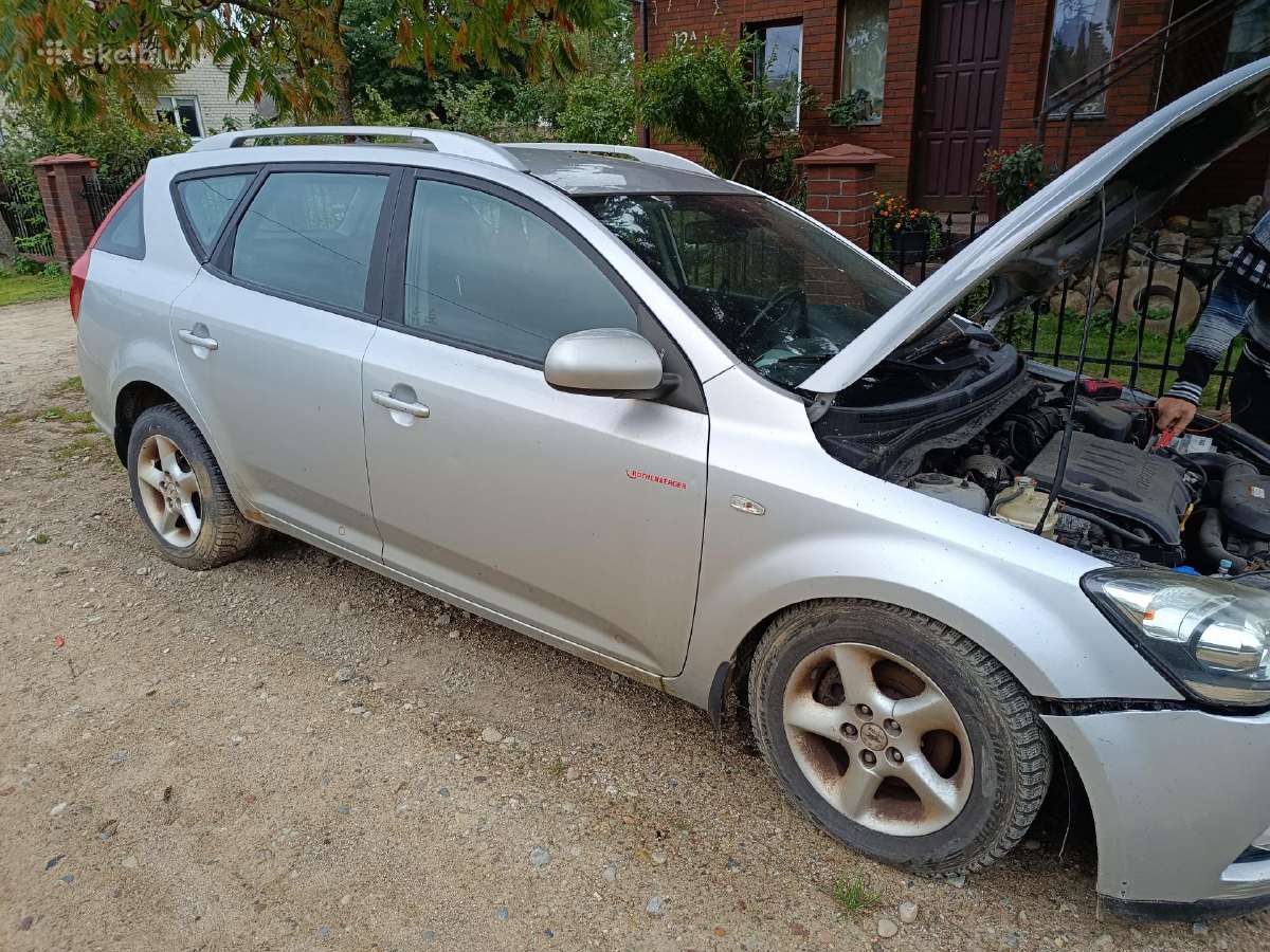 Kia ceed dalys