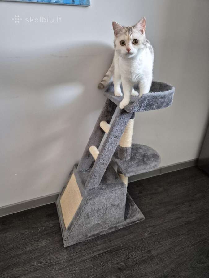 Kačių draskyklė Happy Tails, 50x35x80 cm