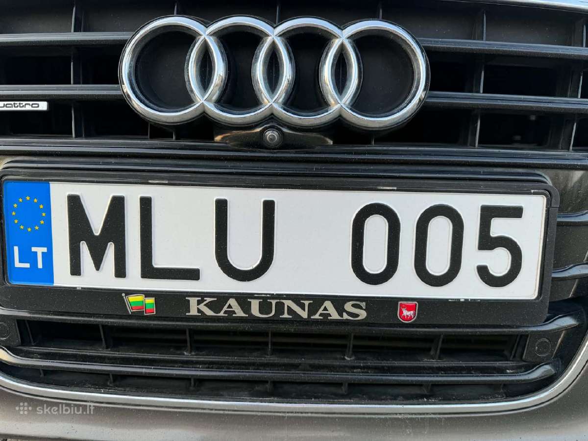 Valstybiniai numeriai, registruojami
