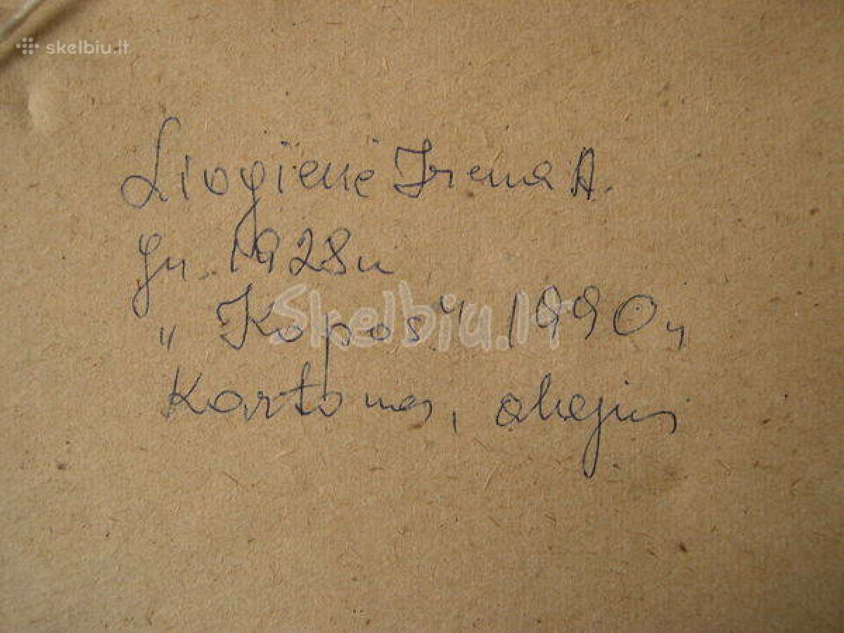 Originalios Tapybos XX am. Darbas – "kopos".1990 - nuotraukos Nr. 5