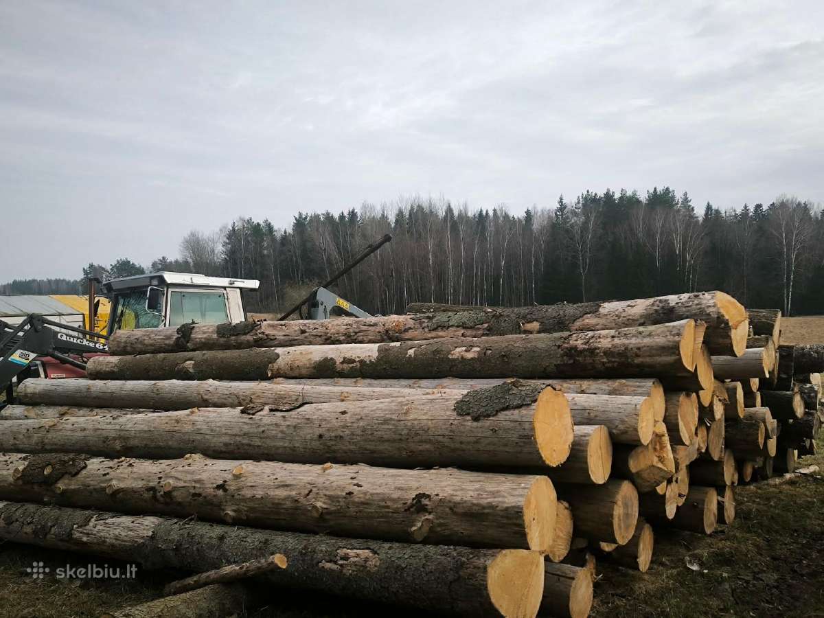 Parduodami eglės rąstai - kaina sutartinė
