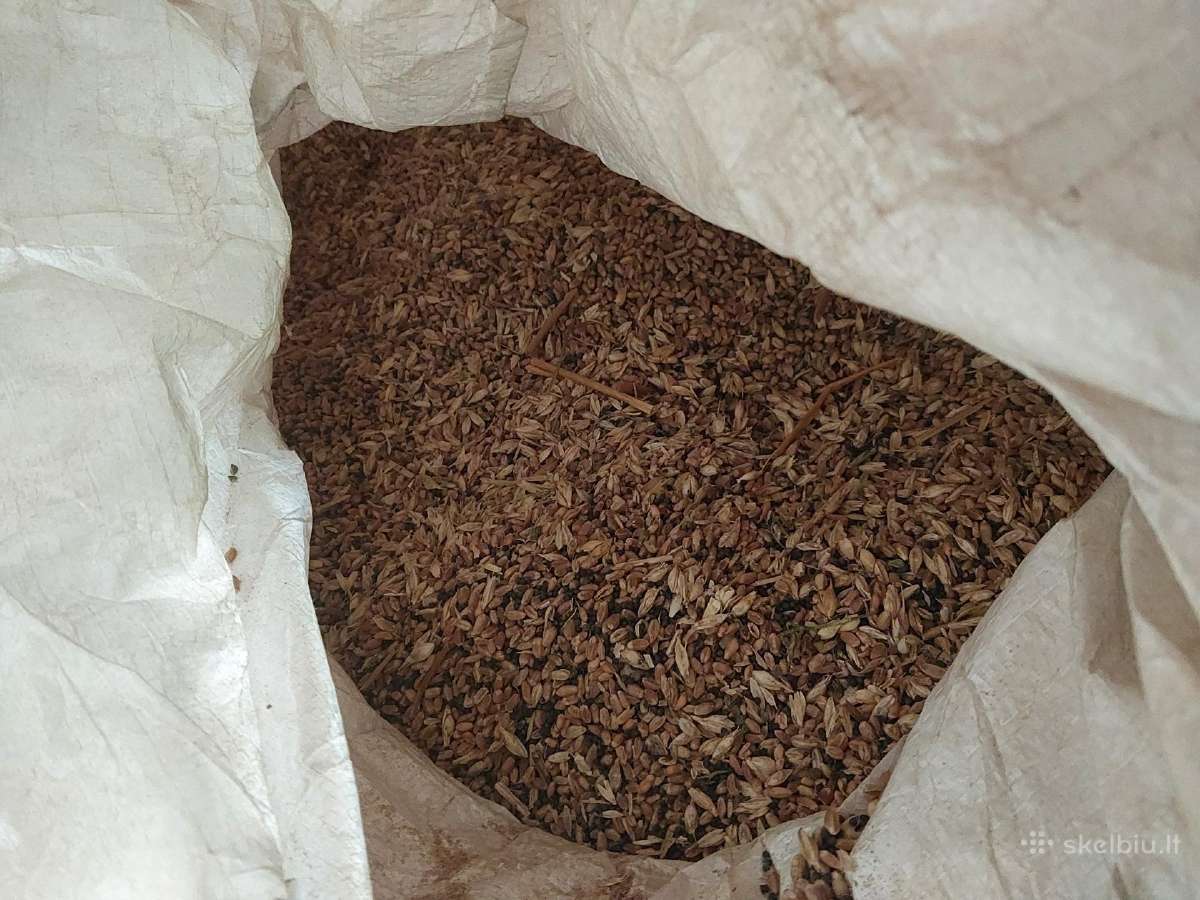 Parduodu Miežių skaldukus pašarams - nuotraukos Nr. 4