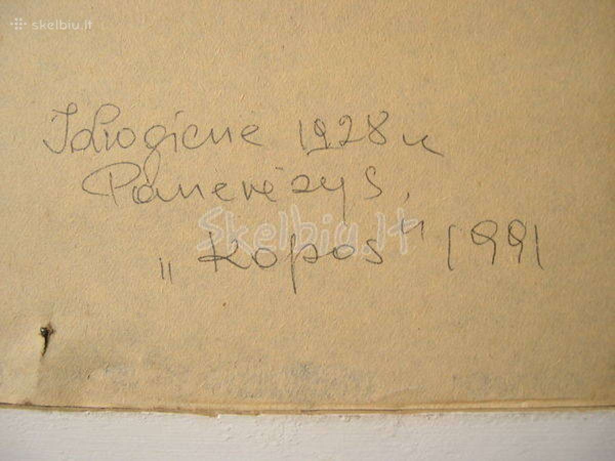 Originalios Tapybos XX am. Darbas – "Kopos". - nuotraukos Nr. 6