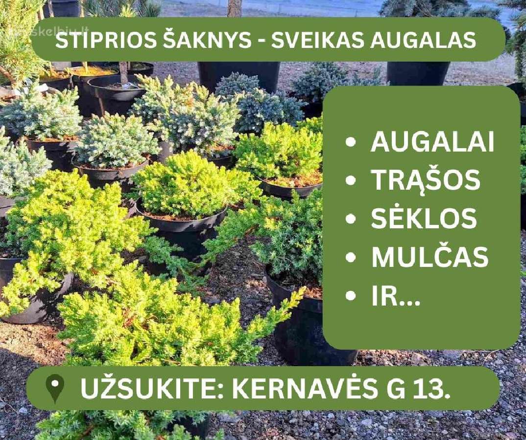 Juodžemis, smėlis, atsijos IT t.t. (Didmaišiais) - nuotraukos Nr. 4