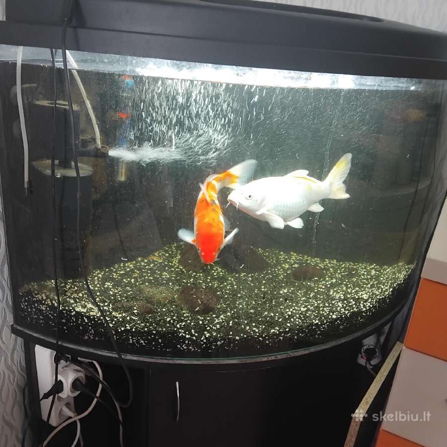 Parduodu akvariumą