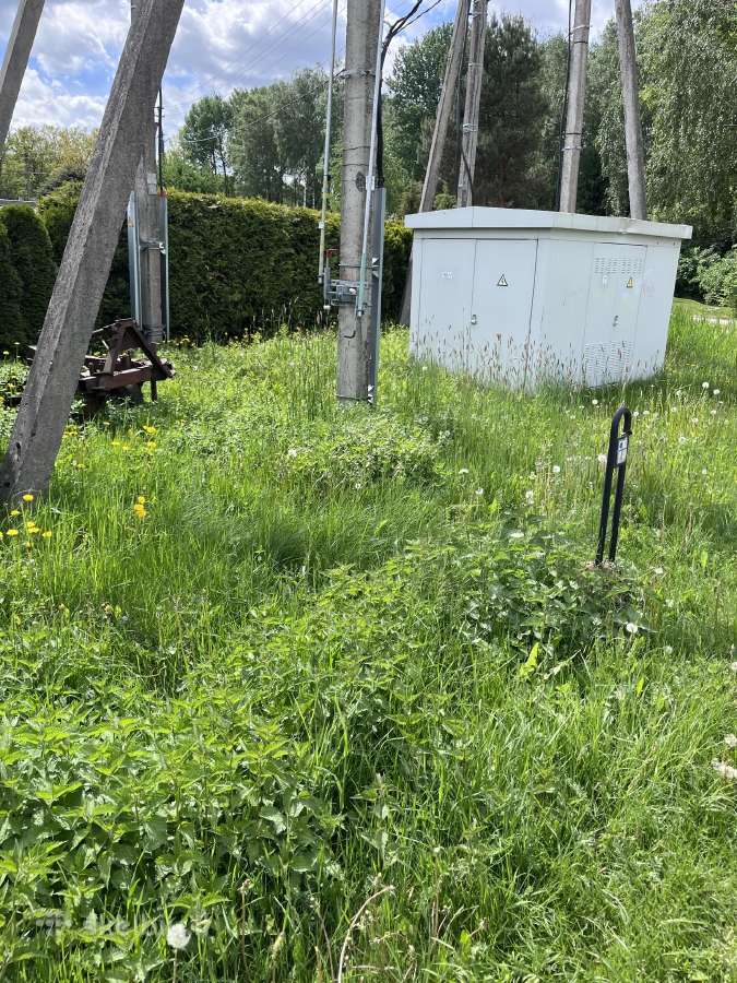 Žolės pjovimas Vilniuje, Vilniaus rajone, Trakuose