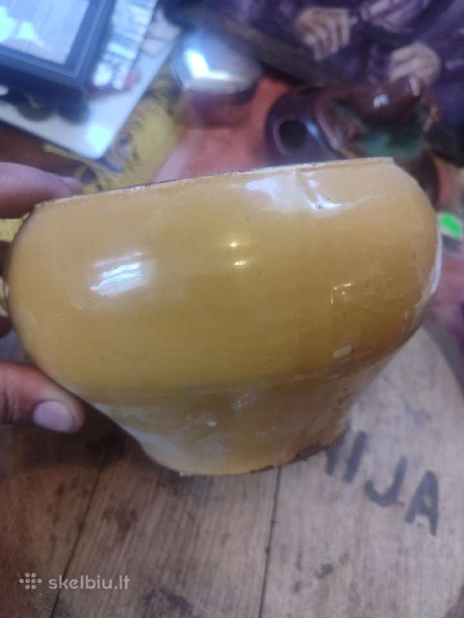 Senovinis cigunas
