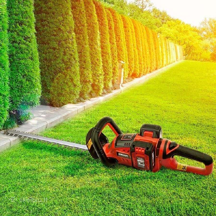 Akumuliatorinės gyvatvorių žirklės Worcraft