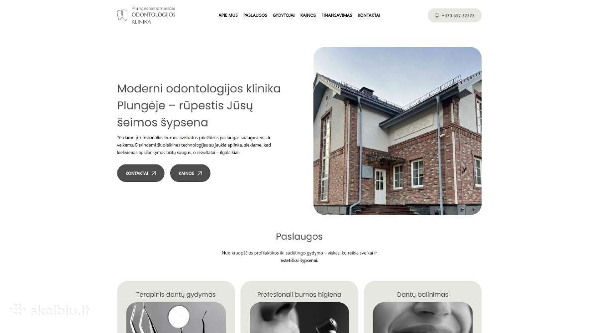 Internetinių svetainių ir parduotuvių kūrimas - nuotraukos Nr. 29
