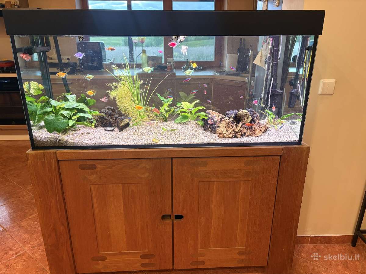 250 l akvariumas