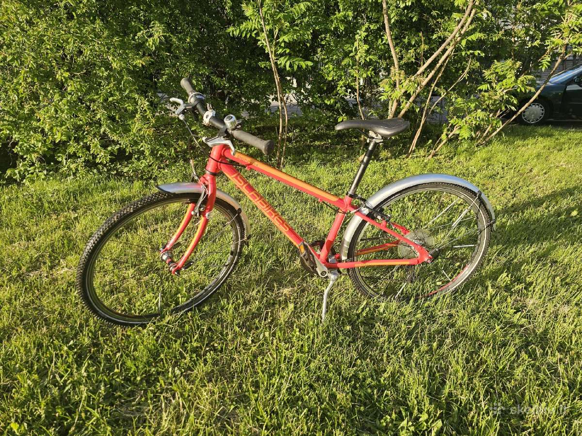 Islabikes Beinn 24