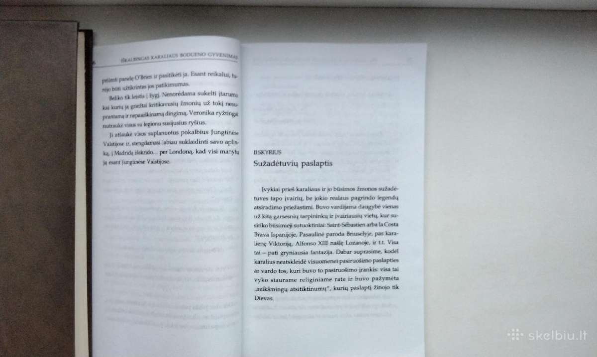 Iškalbingas karaliaus Bodueno gyvenimas - nuotraukos Nr. 6