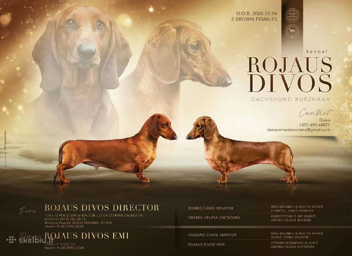 Veislynas Rojaus Divos - nuotraukos Nr. 7