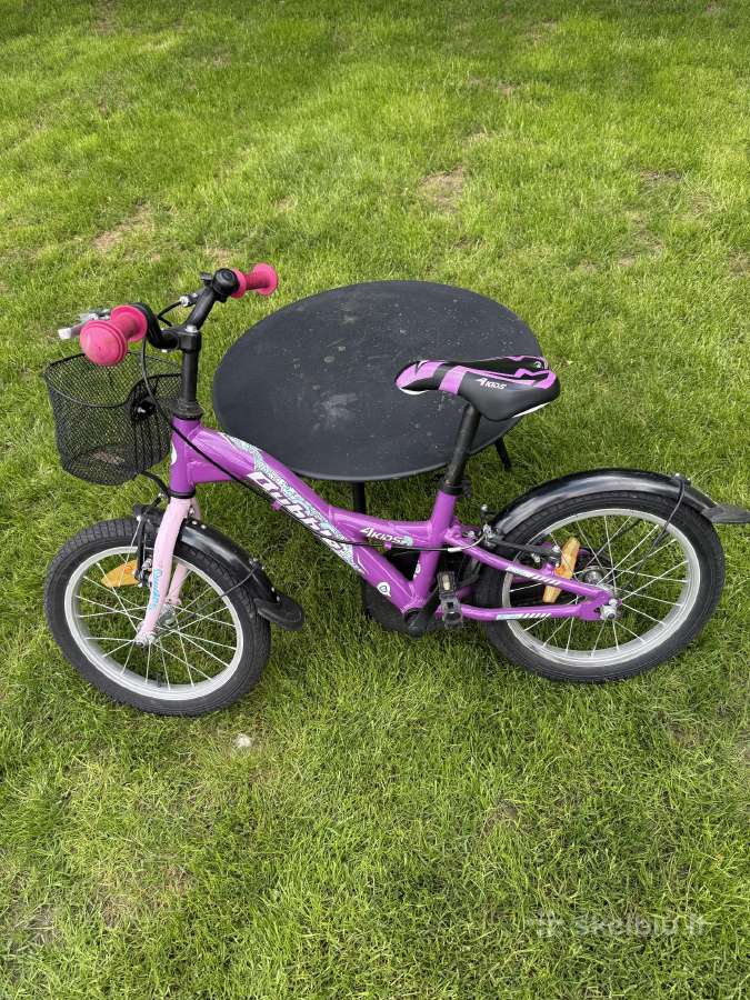 Vaikiškas dviratis 4 kids