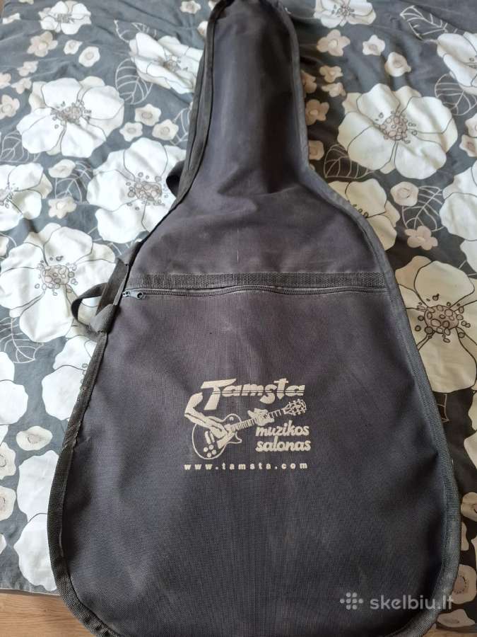 Gitara - nuotraukos Nr. 2
