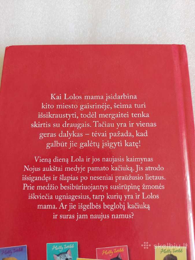 Ugniagesių išgelbėtas kačiukas - nuotraukos Nr. 5