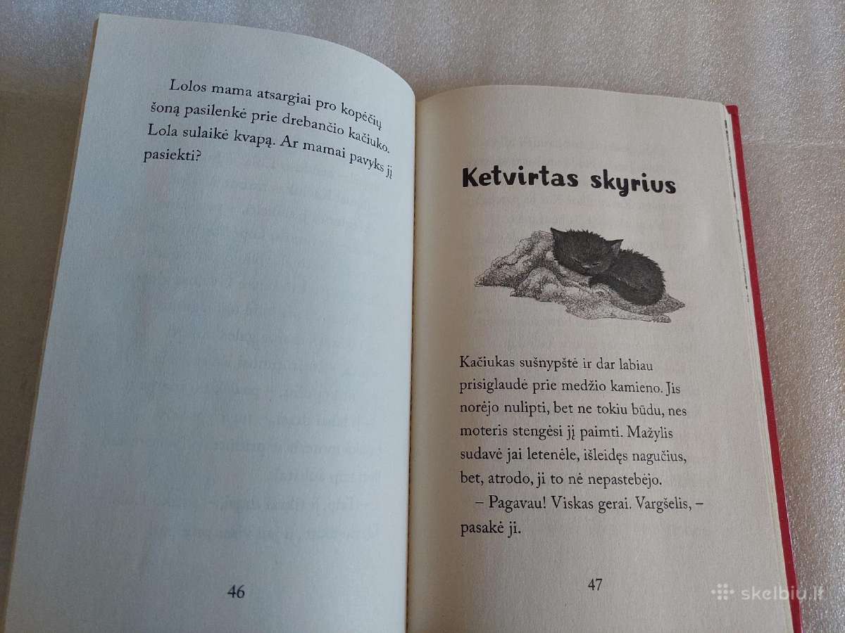 Ugniagesių išgelbėtas kačiukas - nuotraukos Nr. 3
