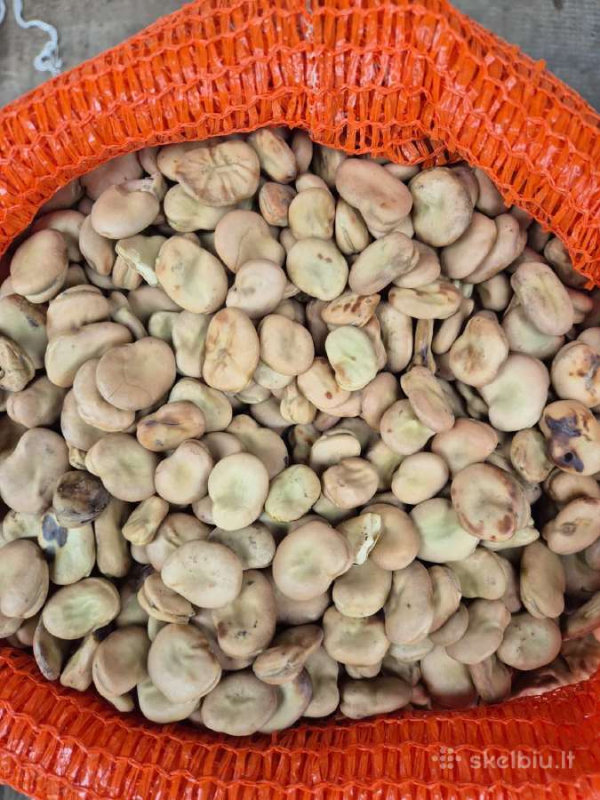 Didziosios pupos, 10kg 40e - nuotraukos Nr. 2