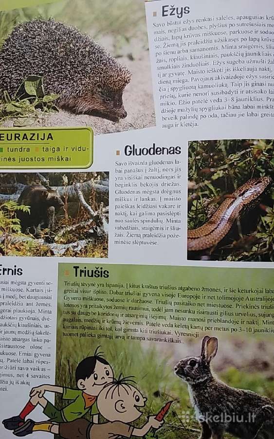 Bolekas ir Liolekas. Gyvūnų atlasas - nuotraukos Nr. 4