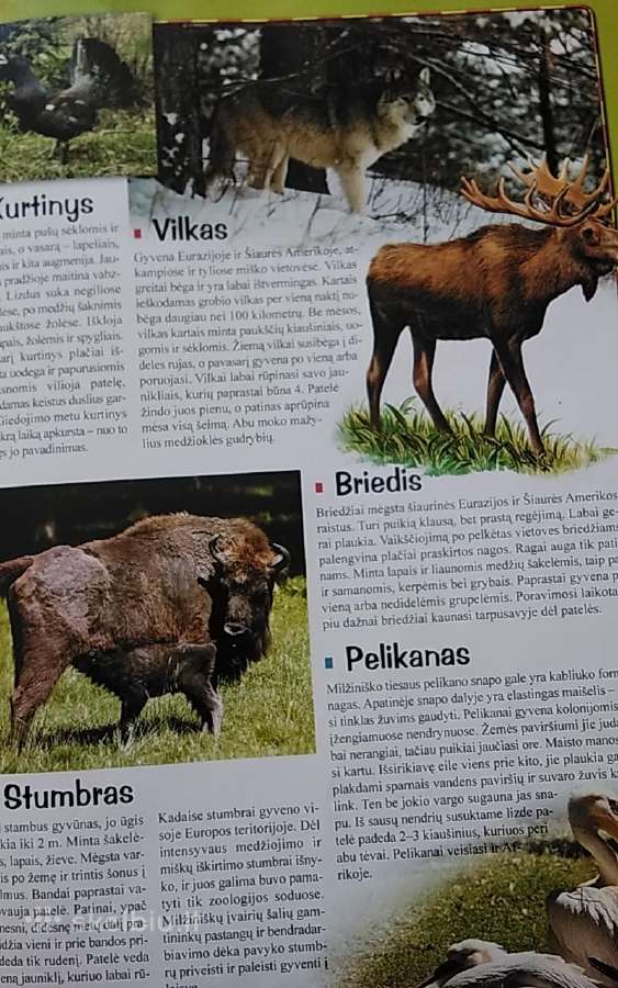 Bolekas ir Liolekas. Gyvūnų atlasas - nuotraukos Nr. 5