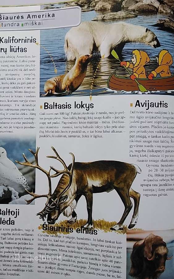 Bolekas ir Liolekas. Gyvūnų atlasas - nuotraukos Nr. 6