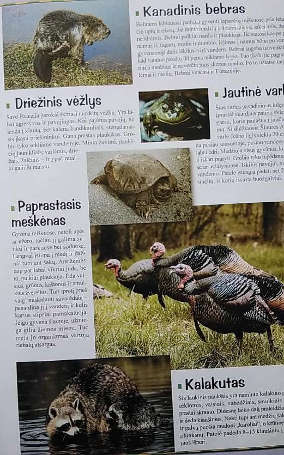 Bolekas ir Liolekas. Gyvūnų atlasas - nuotraukos Nr. 7
