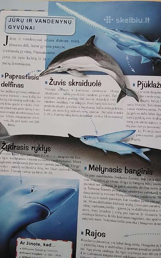 Bolekas ir Liolekas. Gyvūnų atlasas - nuotraukos Nr. 9