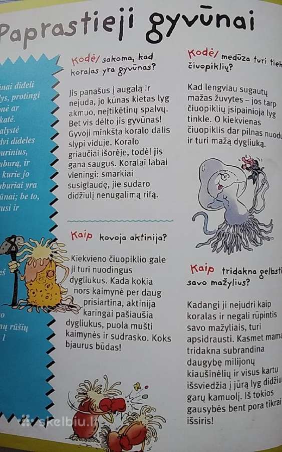 Atsakymai į vaikų klausimus. Gyvūnai - nuotraukos Nr. 4