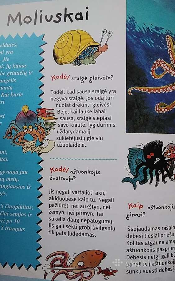 Atsakymai į vaikų klausimus. Gyvūnai - nuotraukos Nr. 5