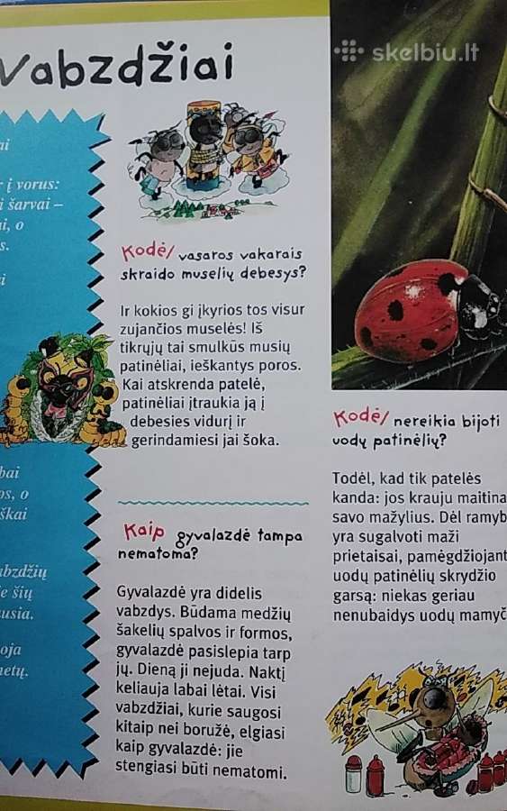 Atsakymai į vaikų klausimus. Gyvūnai - nuotraukos Nr. 6
