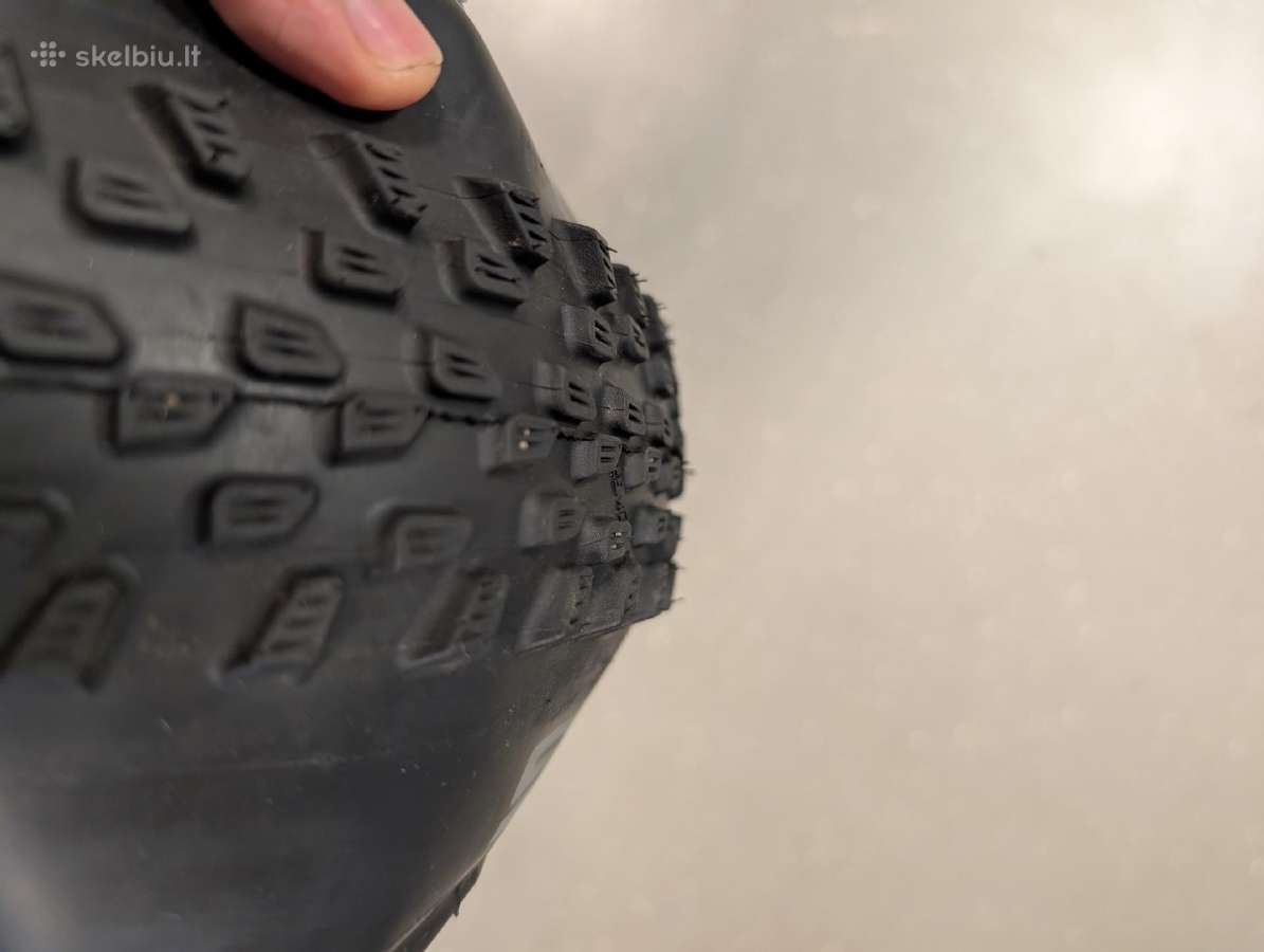 Dviračio padanga Schwalbe Racing Ray 29 x 2.35, - nuotraukos Nr. 3