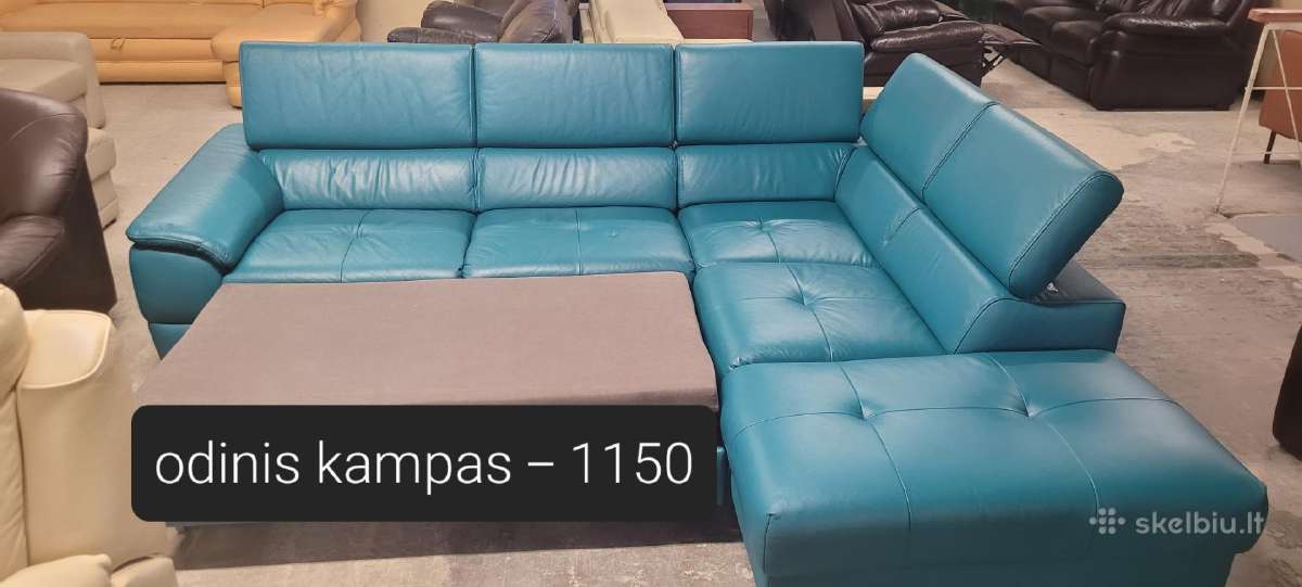 Odiniai Baldai Kampas Sofa Reglainer - nuotraukos Nr. 20
