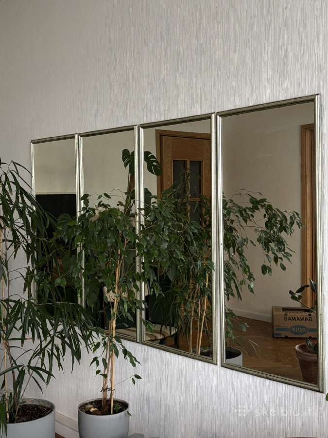 Veidrodis. Veidrodžiai 4vnt