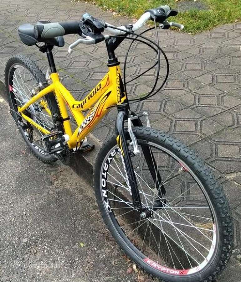 Capriolo geras dviratis 24 dydzio ratais