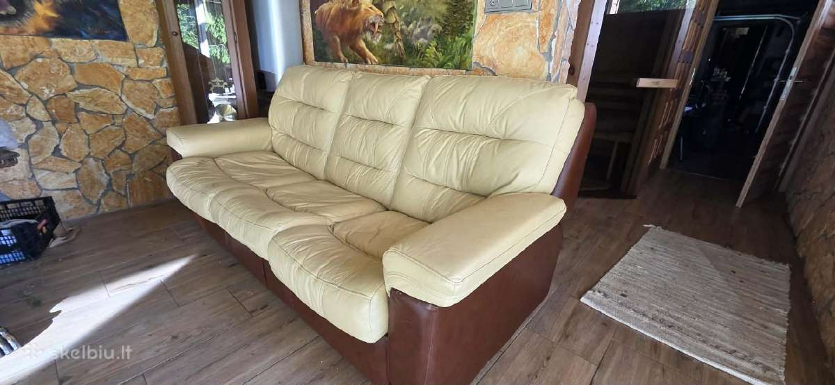 Odinė lova sofa.