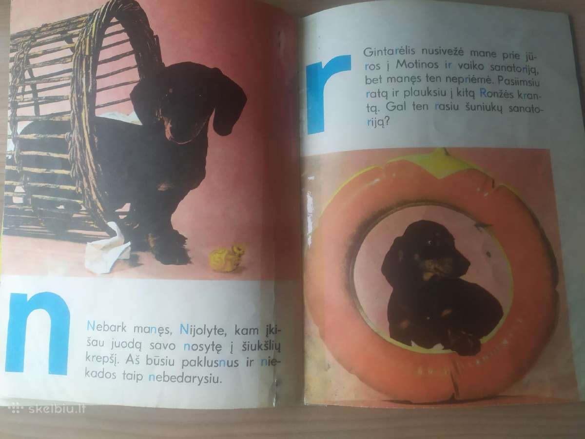 Aldona Liobytė "Abc Šuniukų abėcėlė" - nuotraukos Nr. 7
