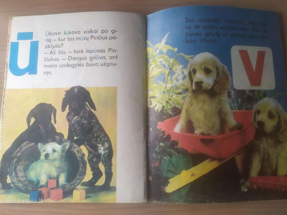 Aldona Liobytė "Abc Šuniukų abėcėlė" - nuotraukos Nr. 8
