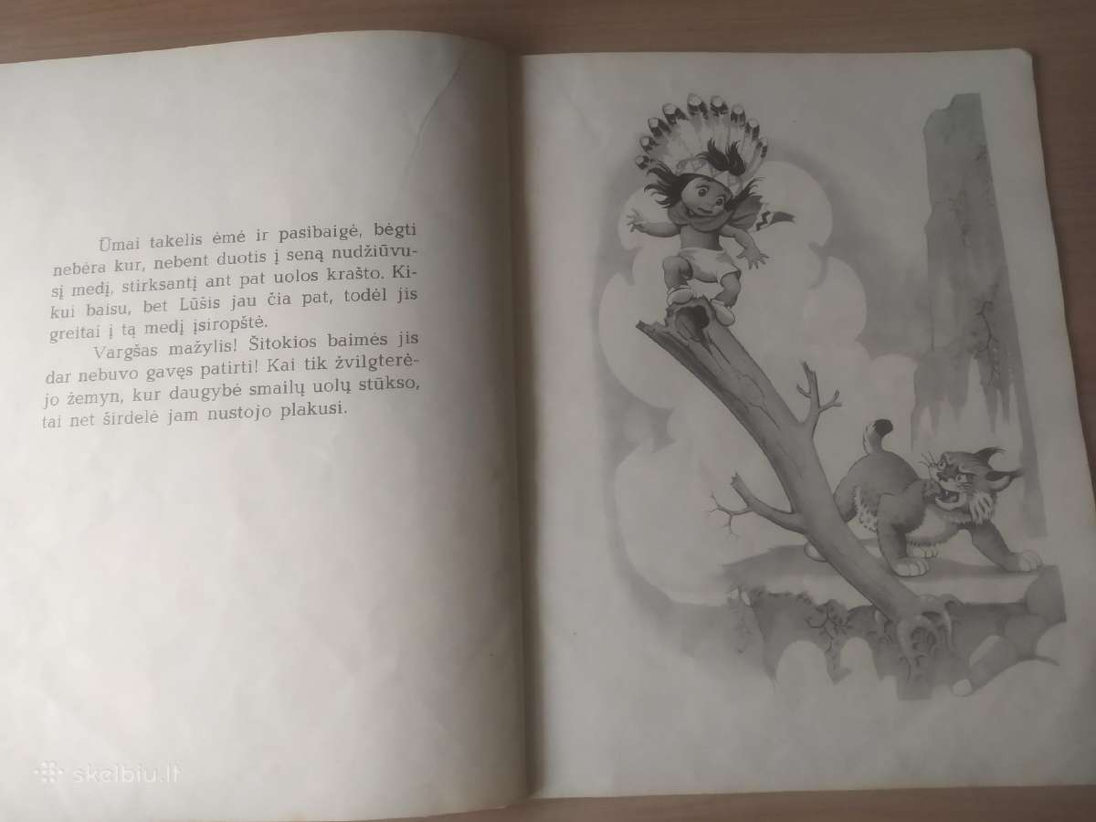 Č. Torsonas "Kikas" - nuotraukos Nr. 9