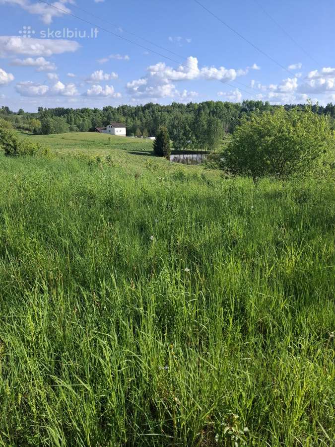 Sklypai prie Aukštakalnio - nuotraukos Nr. 2