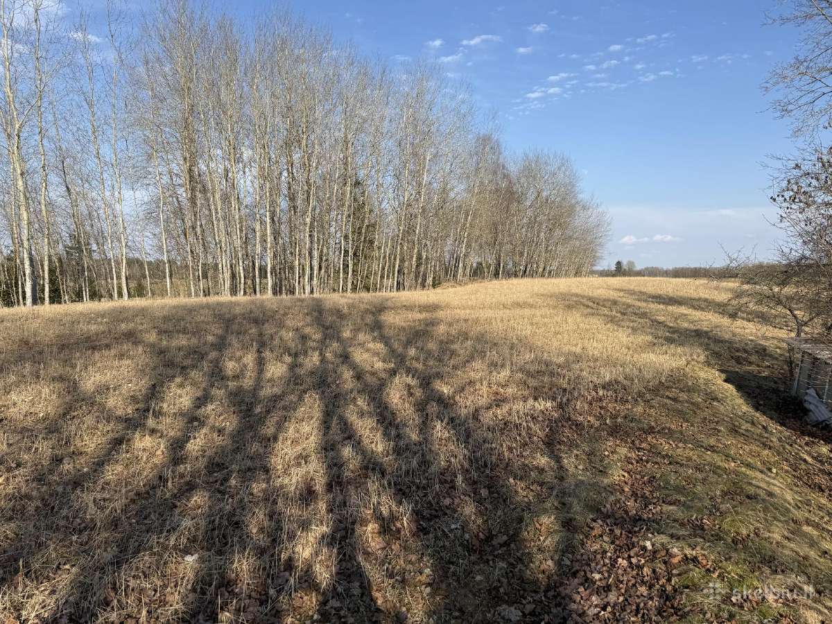 Parduodama sodyba su šalia esančio sklypo dalimi - nuotraukos Nr. 28
